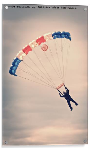 RAF Falcon Parachute Jump Acrylic by rawshutterbug 