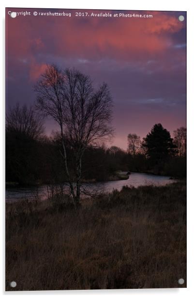 Winter Sunrise At Chasewater Acrylic by rawshutterbug 