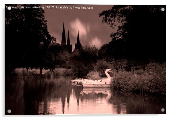 Swan Boats In The Reflection Of Lichfield Cathedra Acrylic by rawshutterbug 