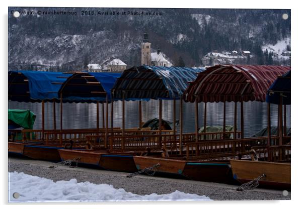 Pletna Boats At Bled Lake Acrylic by rawshutterbug 