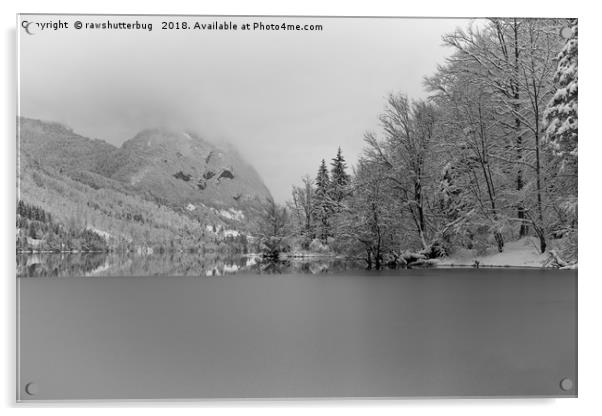 Partly Frozen Lake Bohinj Mono Acrylic by rawshutterbug 