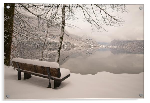 Lake Bohinj Acrylic by rawshutterbug 