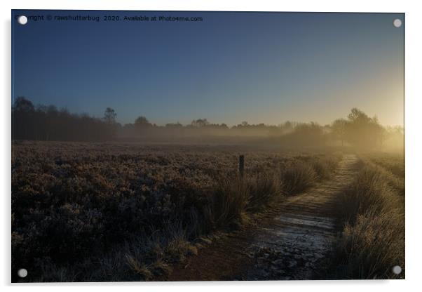 Frosty Morning At Chasewater Country Park Acrylic by rawshutterbug 
