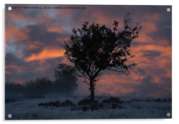 Frosty Sunrise At Chasewater Country Park Acrylic by rawshutterbug 