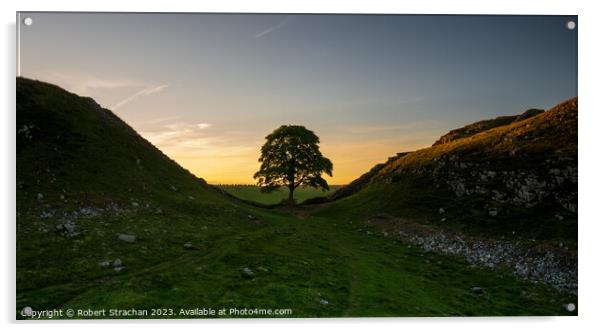 Sycamore gap sunset Acrylic by Robert Strachan