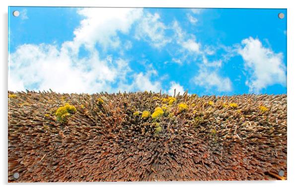 Thatch and Sky Acrylic by Kayleigh Meek