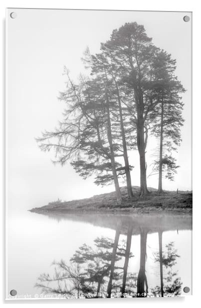 Four Trees. Acrylic by Garry Smith