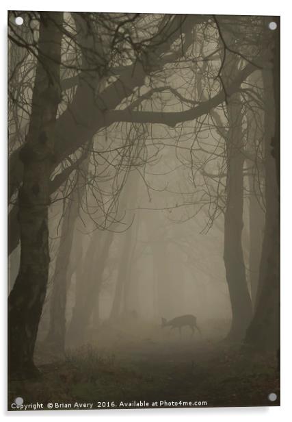 Deer in the Mist Acrylic by Brian Avery