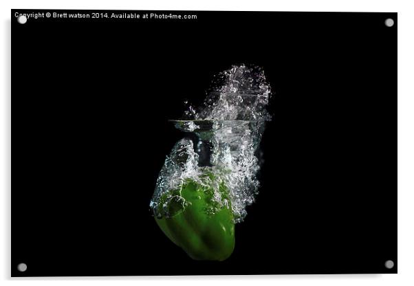 green pepper Acrylic by Brett watson