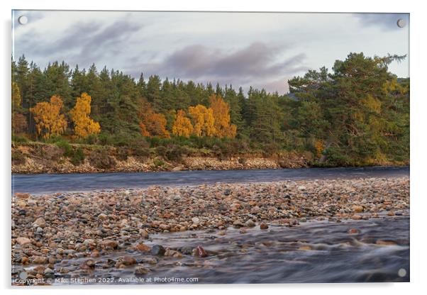 Autumn, River Dee Acrylic by Mike Stephen