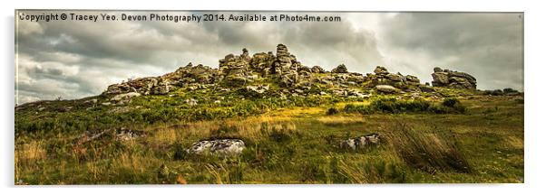  Hound Tor on Dartmoor Acrylic by Tracey Yeo