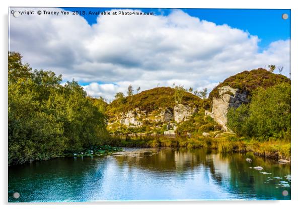 Haytor Quarry Dartmoor   Acrylic by Tracey Yeo