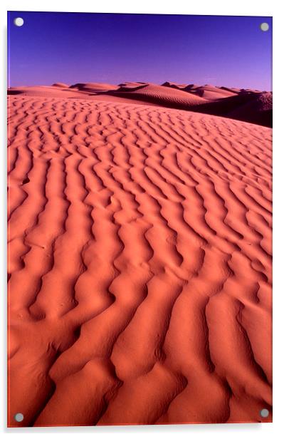 Sand Dunes Acrylic by Steve Outram