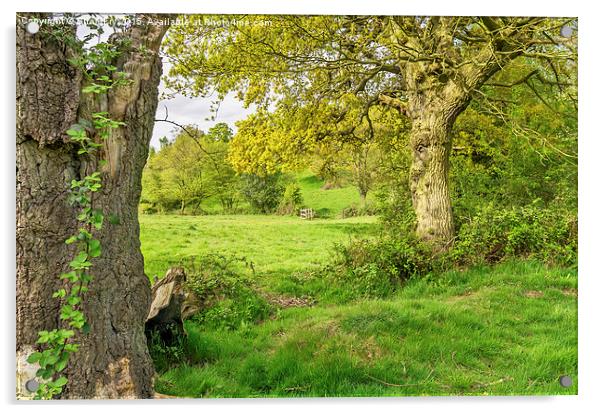  Countryside scene Acrylic by Brian Fry