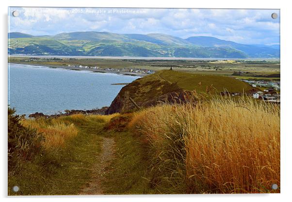 Borth Coastal Walk, Wales. Acrylic by Lauren Bywater