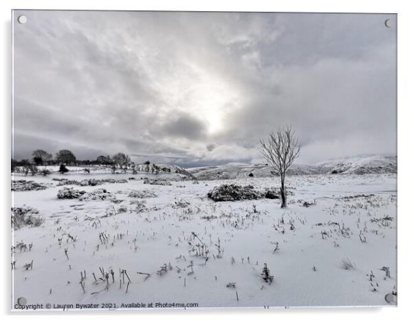 When snow falls, nature listens.   Acrylic by Lauren Bywater