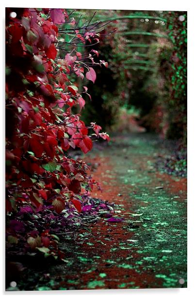 Fairy walk Acrylic by sanda bogomazova