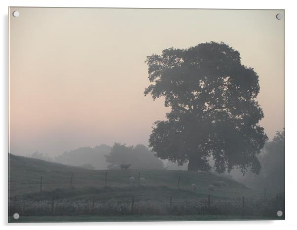 Early dawn light Acrylic by Ralph Jackson