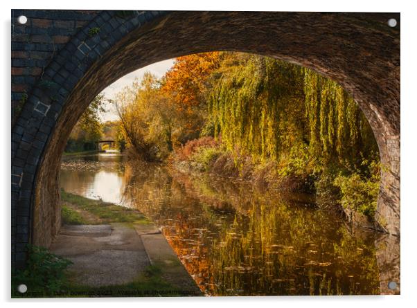 Autumn on the Grand Union Canal Acrylic by Dave Bowman