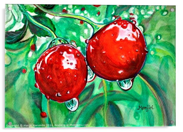 Red ripe Cherries in the orchard watercolor painti Acrylic by Manjiri Kanvinde