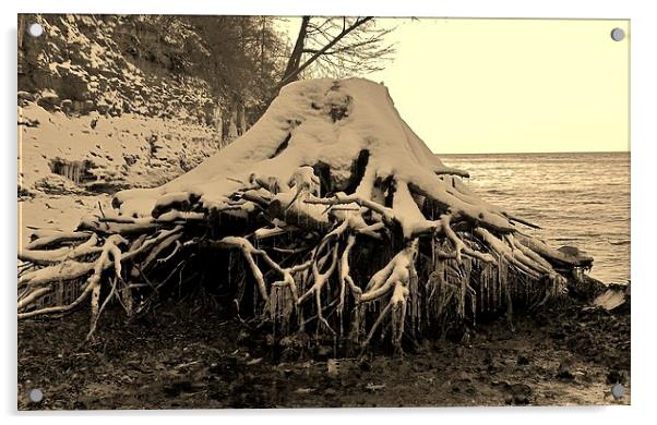 Logged Lake Wash-up. Acrylic by Jeffrey Evans