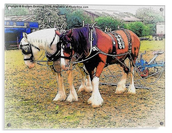 Shire Horses Acrylic by Graham Beerling