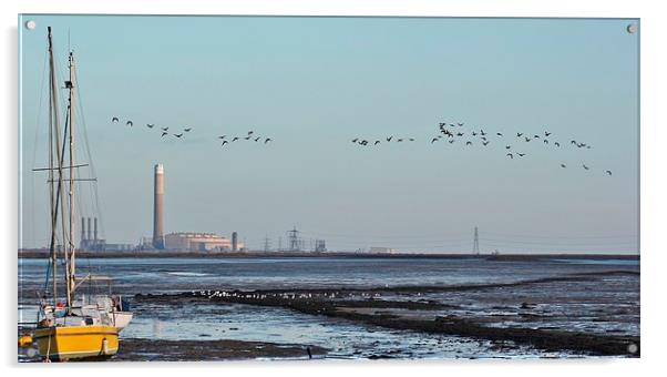 Geese Flying by power station Acrylic by Claire Colston