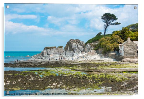Lee Bay, North Devon Acrylic by Keith Douglas