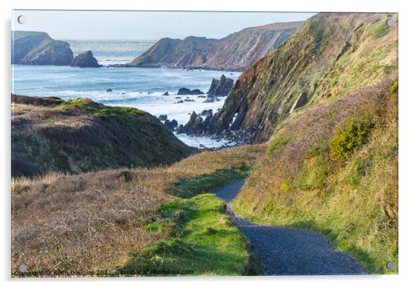 The path to Marloes Sands, Pembrokeshire Acrylic by Keith Douglas