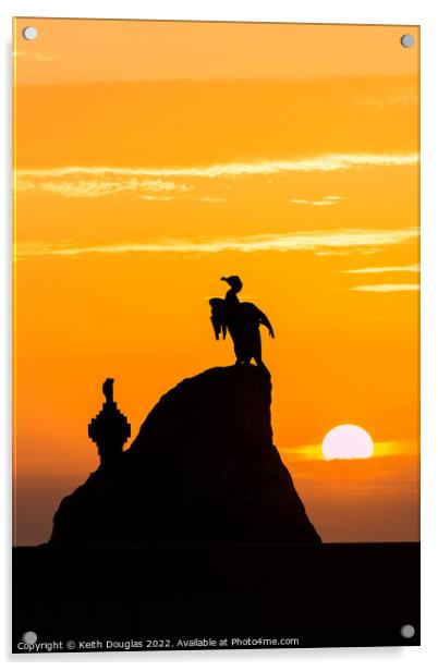 Morecambe Cormorants at Sunset Acrylic by Keith Douglas