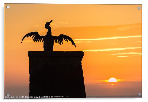 Morecambe Cormorant at Sunset Acrylic by Keith Douglas