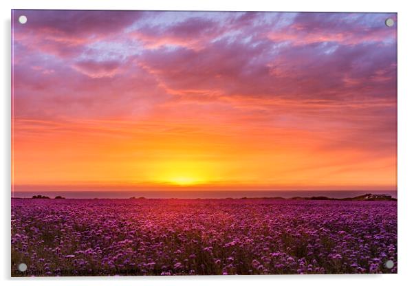 Sunset at Godrevey, Cornwall Acrylic by Keith Douglas