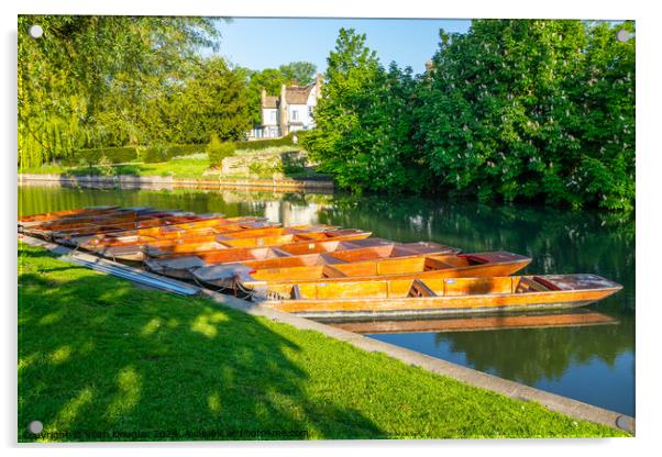 Punts moored in Cambridge Acrylic by Keith Douglas