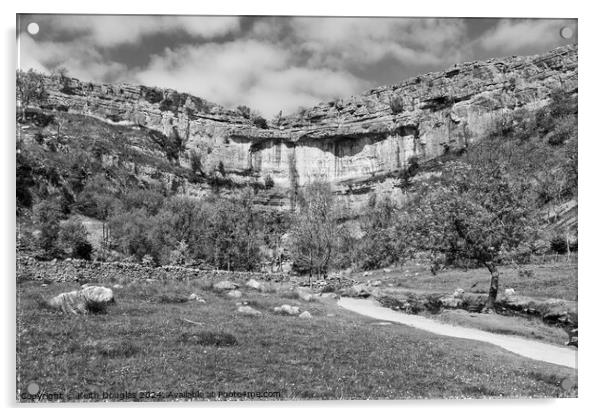 Malham Cove, Yorkshire Dales, England (Monochrome) Acrylic by Keith Douglas