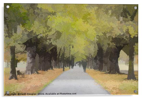 Tree lined avenue Acrylic by Keith Douglas