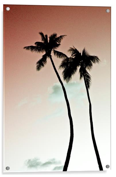 Palm Trees Acrylic by Paul Walker