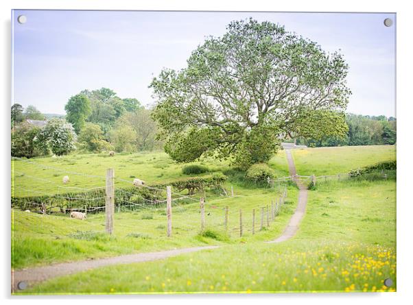  English Countryside Acrylic by Paul Walker