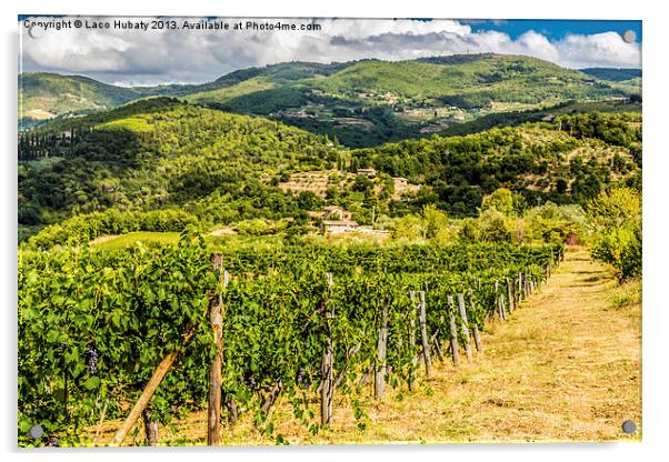 Tuscanys countryside Acrylic by Laco Hubaty