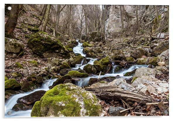 Water stream in Zadielska valley Acrylic by Laco Hubaty