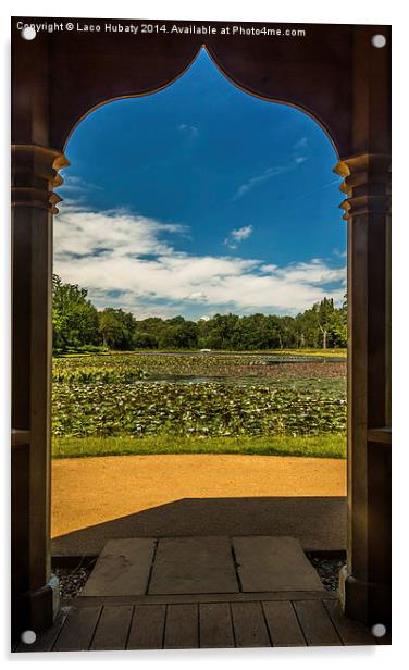 Framed lake of water lilies Acrylic by Laco Hubaty