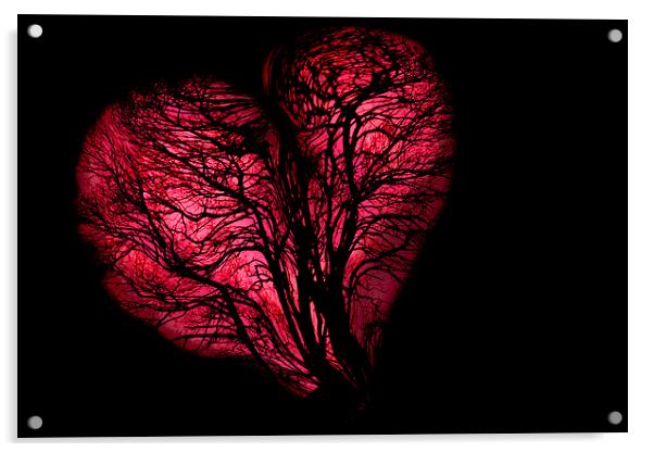 Wooden Heart Acrylic by Adrian Bollans