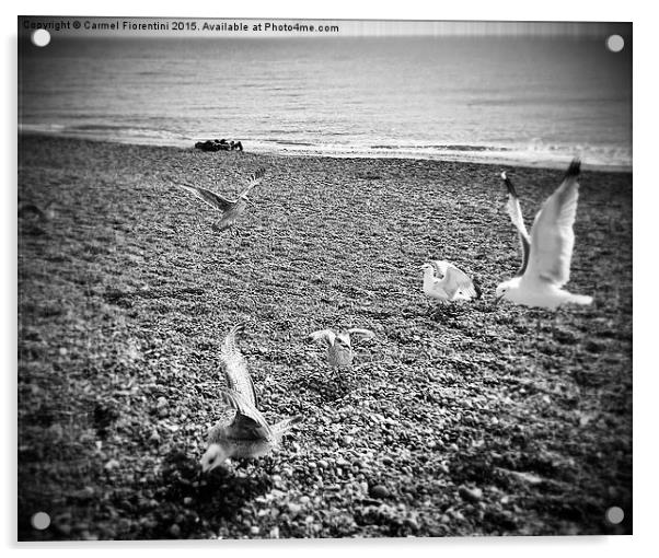 Seagulls Acrylic by Carmel Fiorentini