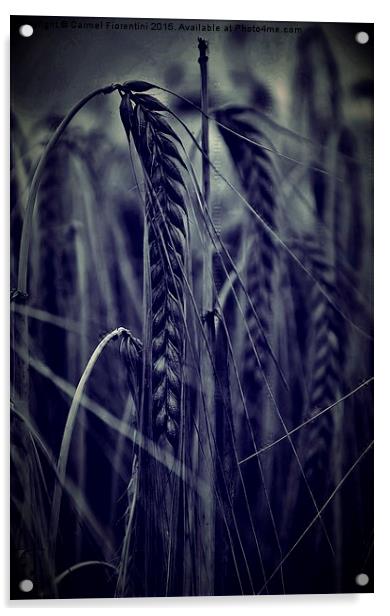  Blue Grass Acrylic by Carmel Fiorentini