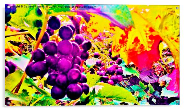 Grapes Acrylic by Carmel Fiorentini