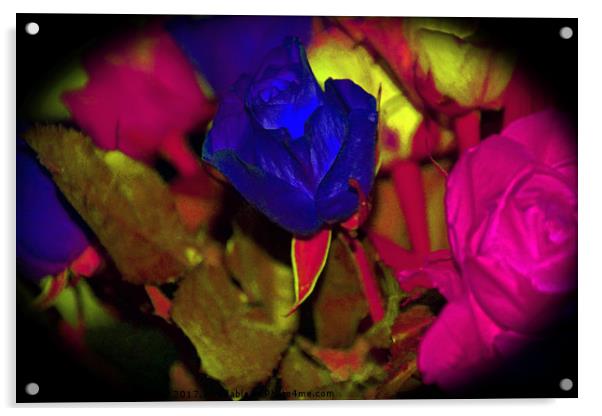 Blue Rose Acrylic by Carmel Fiorentini