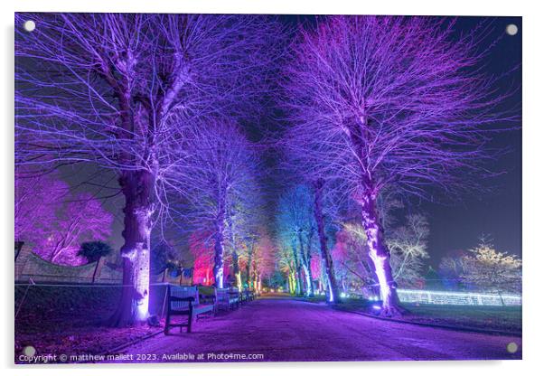 Colchester Castle Park Illuminated Acrylic by matthew  mallett