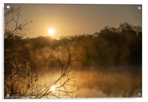 Selbrigg Pond At Sunrise Acrylic by matthew  mallett