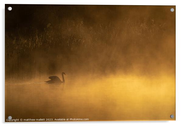 Selbrigg Pond Mist Acrylic by matthew  mallett