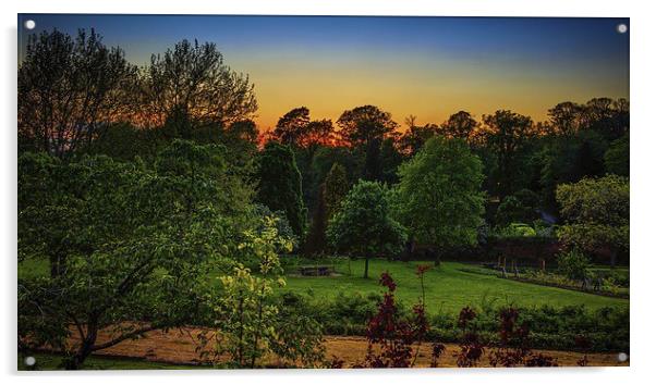 Sunset through the Tree Tops Acrylic by matthew  mallett