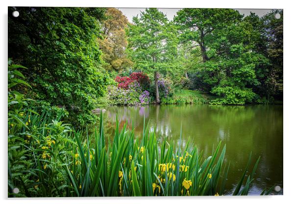 Pond of Many Colours Acrylic by matthew  mallett